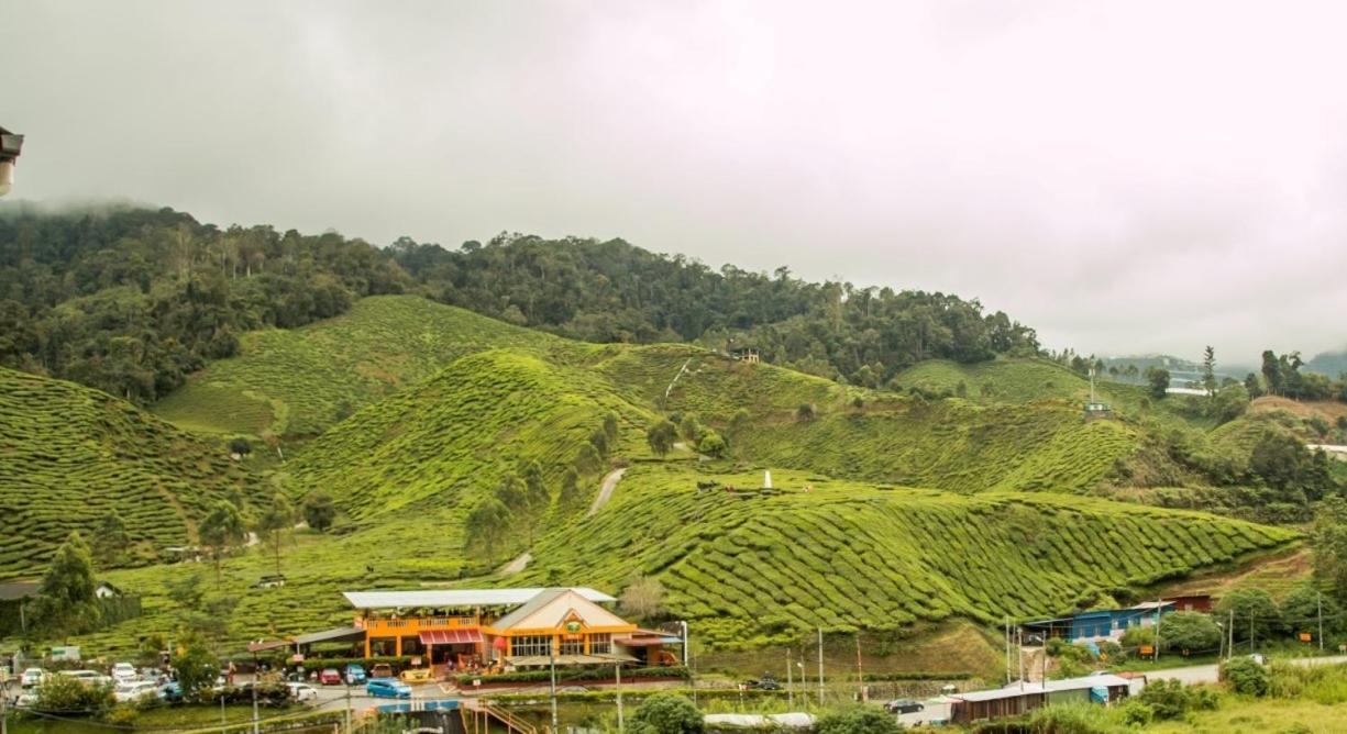 Gorgeous Sunset & Tea Plantation View-Premium Hotel Bed Kampung Kuala Terla Exterior foto